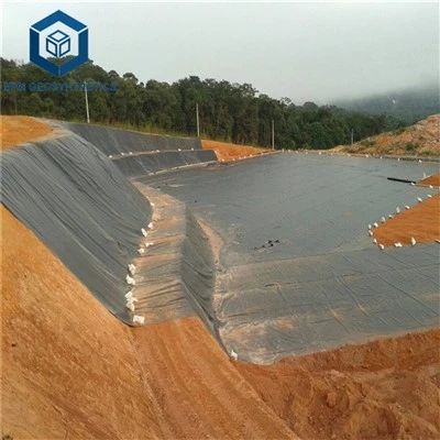 Dam Liner Geomembran